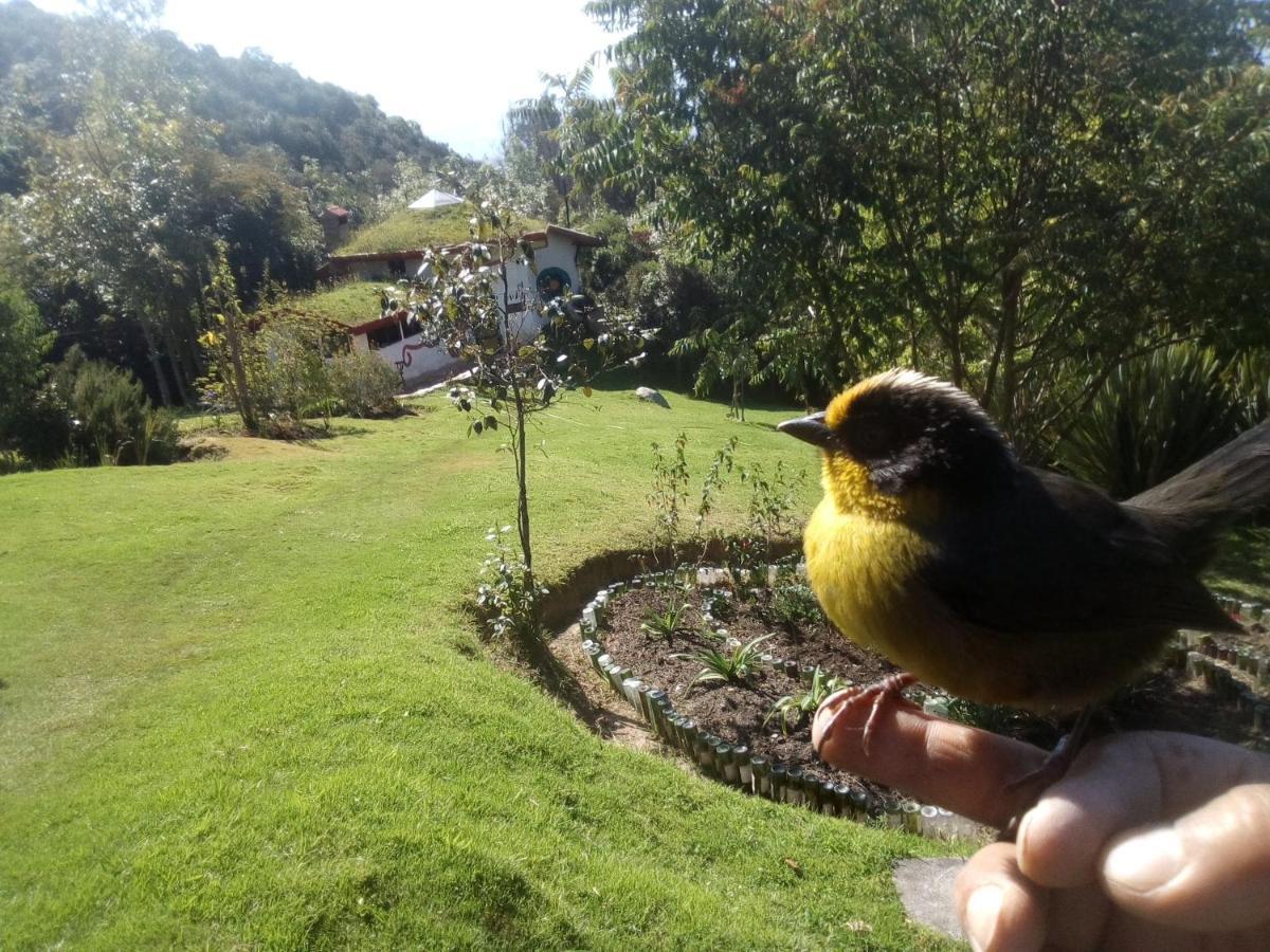 Jardin Colibri Rnt 33633 Villa Guatavita Exterior photo